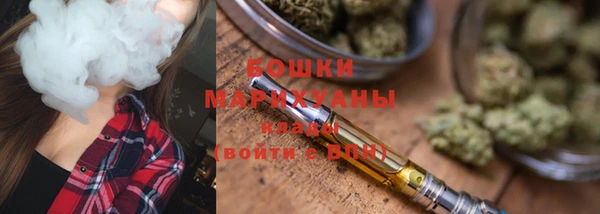 дмт Ельня