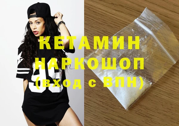 дмт Ельня