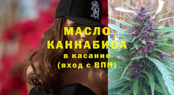 дмт Ельня