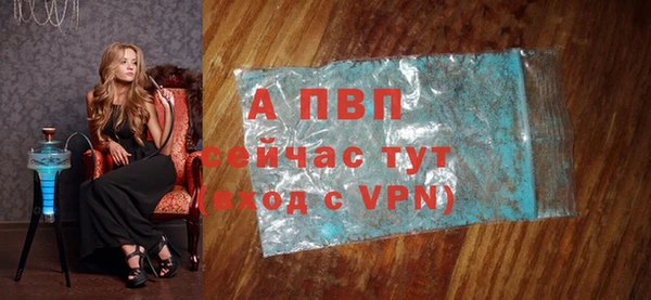 дмт Ельня