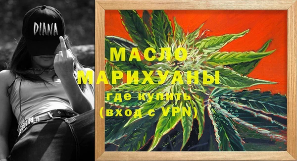дмт Ельня