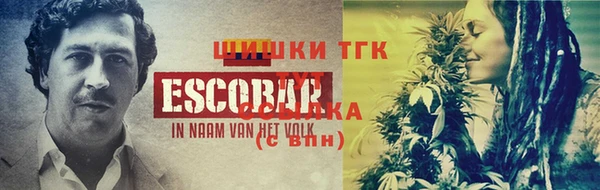 дмт Ельня
