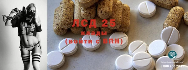 дмт Ельня