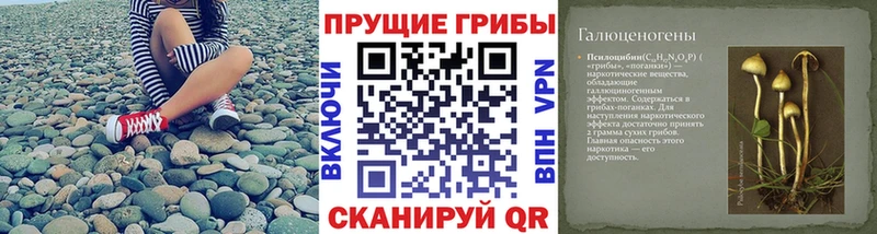 Псилоцибиновые грибы Cubensis  даркнет сайт  Бутурлиновка 